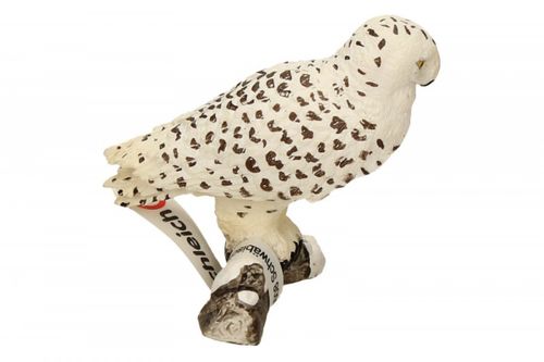 Schleich Sowa śnieżna na Arena.pl