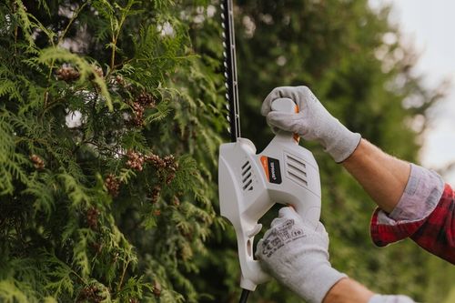 NOŻYCE ELEKTRYCZNE DO ŻYWOPŁOTU KRZEWÓW GAŁĘZI SEKATOR 45cm 1800W PRIME na Arena.pl