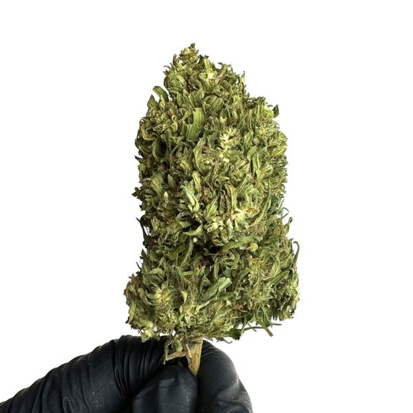 Susz konopny CBD Premafrost 10g zdjęcie 2