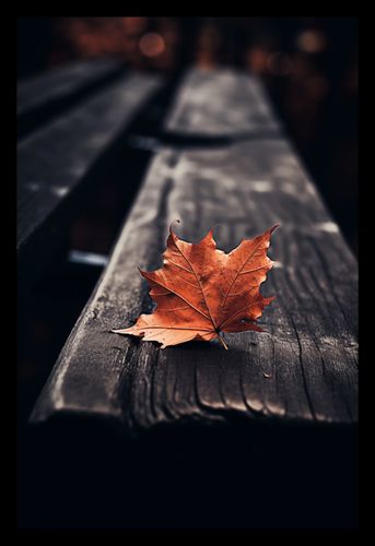 Plakat 20x30cm Pojedynczy Liść na Arena.pl