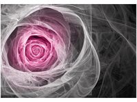 OBRAZ DRUK PINK ROSE