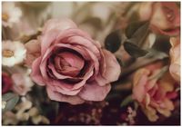 Fototapeta Na Flizelinie Do Sypialni Salonu Kwiaty 300x210