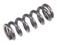 Sprężyna CEDRUS transporter TR300 130974
