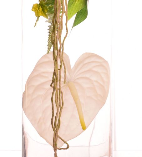 Anturium w wazonie kompozycja na Arena.pl