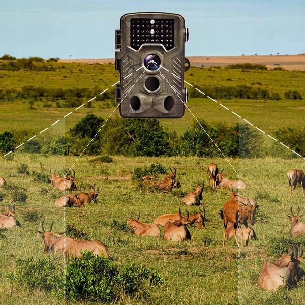 FOTOPUŁAPKA KAMERA LEŚNA DO LASU HC-800A 50MPX zdjęcie 4