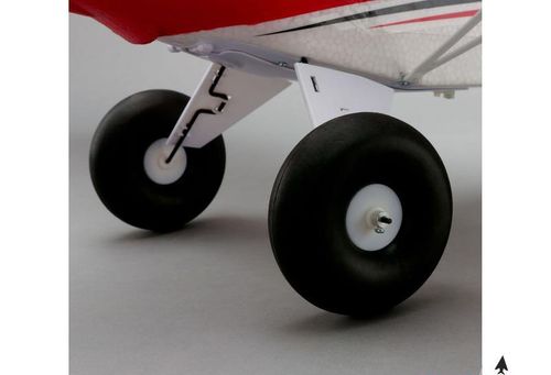 Sport Cub BNF na Arena.pl