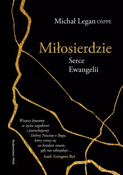 Miłosierdzie Serce Ewangelii zdjęcie 1