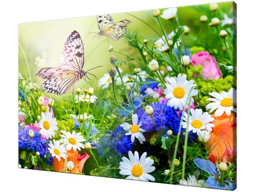 Obraz drukowany na płótnie canvas 120x80 + GRATIS na Arena.pl