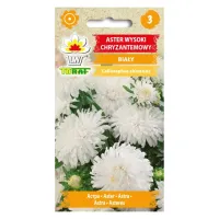 Aster wysoki chryzantemowy biały 1g