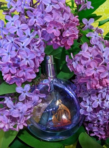 LANVIN ECLAT D'ARPEGE EDP 100ML FLAKON BEZ KORKA na Arena.pl