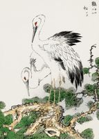 Plakat 50x70cm Stork and Pine Tree, Kashu Japoński Vintage do Salonu