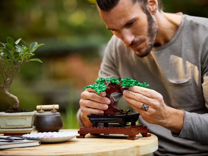 LEGO Botanical Collection Drzewko bonsai 10281 zdjęcie 12
