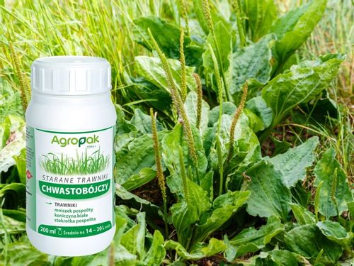 STARANE TRAWNIKI środek oprysk na chwasty w trawie trawniku 200ml NA 666m2 na Arena.pl