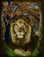 Koc Ze Zwierzętami Polarowy 160X200 Lew 12746