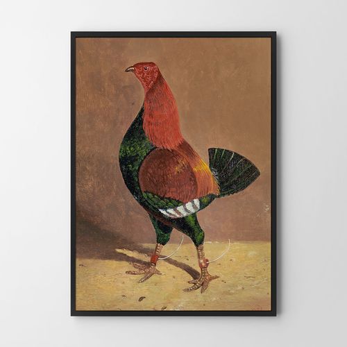 Plakat kura ilustracja 29,7x42 cm A3 na Arena.pl