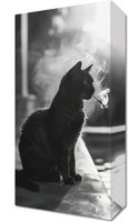 Obraz 20x40cm Kocia Przerwa