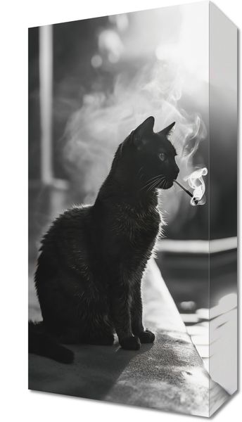 Obraz 20x40cm Kocia Przerwa zdjęcie 1