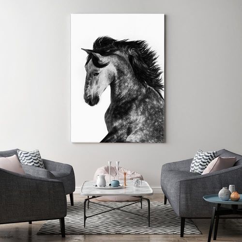 Deco Panel, Dziki rumak 80x120 na Arena.pl