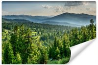 Fototapeta Do Jadalni LAS Góry Krajobraz Efekt 3D Natura 368cm x 254cm