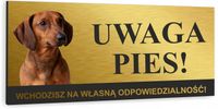 Tabliczka UWAGA ZŁY PIES JAMNIK złota aluminiowa 20x10