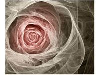 OBRAZ DRUK RÓŻA KTALNA JASNY RÓŻ