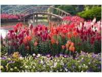 product-compare-58694513