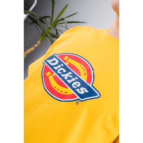 Dickies HORSESHOE TEE CUSTARD S na Arena.pl