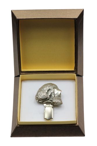 Bedlington Terrier - klips - 2570 na Arena.pl