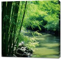 product-compare-59470269