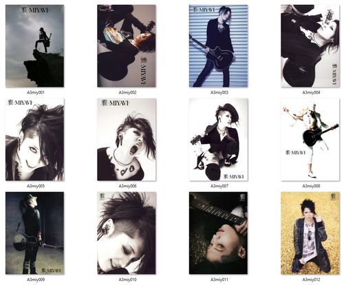 Plakat A3 Miyavi DO WYBORU na Arena.pl