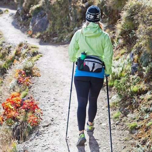 Kijki do Chodzenia Trekingowe Nordic Walking Kije Trekkingowe Teleskopowe na Arena.pl