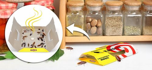 5X PUŁAPKA ŚRODEK NA PRUSAKI SILNIE WABIĄCY LEP NA KARALUCHY KARALEP na Arena.pl