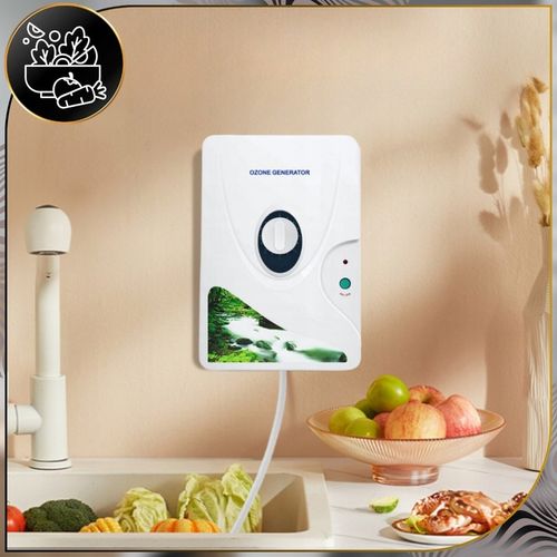 Generator ozonu ozonator do samochodu basenu akwarium jacuzzi PRO 600mg/h na Arena.pl