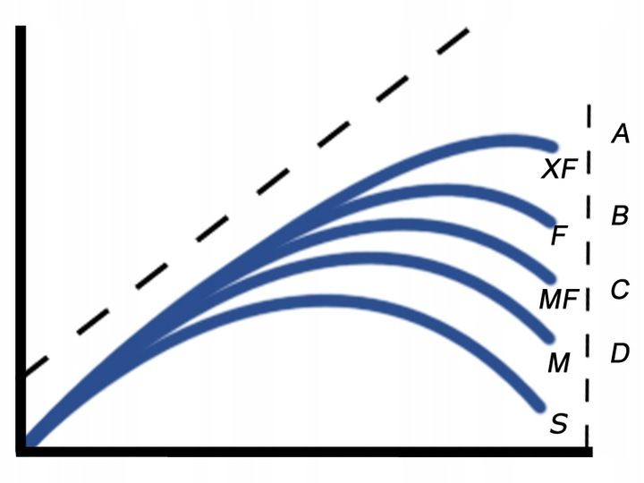 WĘDKA BOLONKA MISTRALL ZINO BOLOGNESE 5m /10-30g zdjęcie 10