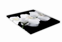 SZKLANA DESKA KUCHENNA 35x35 438g Biała orchidea
