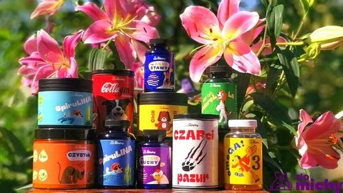 Suplement Do michy Kolagen w proszku 170g dla Psa i kota. NA STAWY na Arena.pl