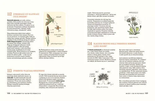 321 niesamowitych faktów przyrodniczych Encyklopedia ciekawostek dla dzieci na Arena.pl