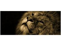 product-compare-58645397