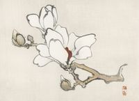 Plakat 55x40cm Magnolia, Kōno Bairei Japoński Vintage do Salonu