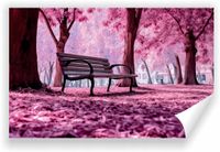 Fototapeta PREMIUM STRUKTURA ZMYWALANA ławka w parku kwitnąca wiśnia