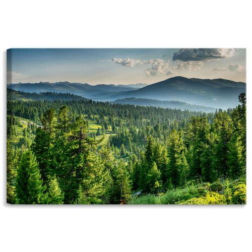 Obraz Do Jadalni KRAJOBRAZ Las Natura Mgła Góry Efekt 3D 100cm x 70cm na Arena.pl
