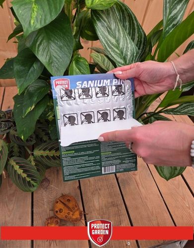 SANIUM PIN 2w1 Pałeczki Owadobójcze + Nawozowe na Ziemiórki MEGAPAKA na Arena.pl