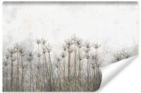 Fototapeta Do Salonu Wysoka TRAWA Rośliny Natura Beton 368cm x 254cm