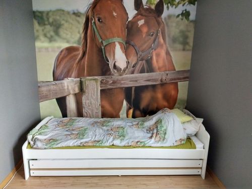 FOTOTAPETA mur ściana kwiaty bukiet lilie 350x245 na Arena.pl