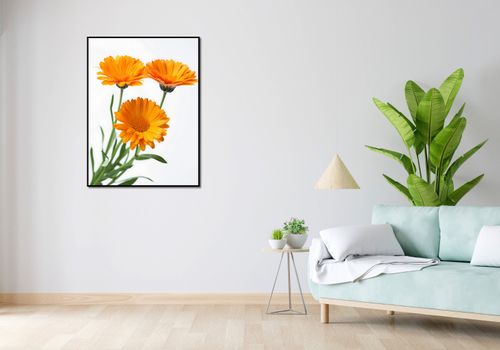 Plakat 75x100cm Słoneczne Kalendule na Arena.pl
