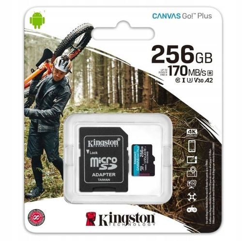 Kingston Karta Pamięci microSD 256 GB Go Plus 170/90 MB/s na Arena.pl