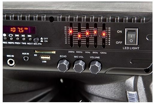 Głośnik Power Audio Manta SPK 5033 40W karaoke zdjęcie 7