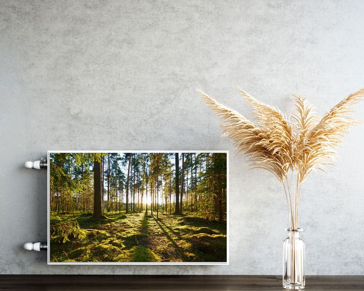 Osłona Magnetyczna Na Kaloryfer Las PEJZAŻ Leśny Natura 80cm x 60cm zdjęcie 5
