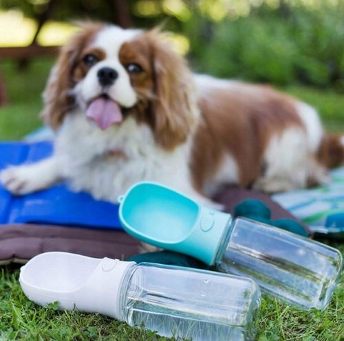 BUTELKA NA WODĘ DLA PSA BIDON POIDŁO MISKA 0,35L PRZENOŚNA SPACER TURYSTYCZ na Arena.pl