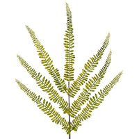 product-compare-63038428